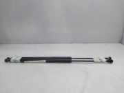 Gasdruckfedern Set Hinten 51248402405 BMW X5 (E53) SUV 3.0d 24V (M57-D30(306D1))