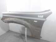 Kotflügel Links Vorne 66310H1110 Hyundai Terracan SUV 2.9 CRDi 16V (J3)