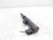 Zündspule 216031219 Renault Megane II (LM) Limousine 1.6 16V (K4M-760)