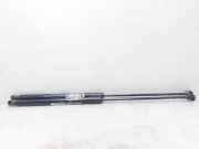 Gasdruckfedern Set Hinten 9819665980 Citroën C4 Picasso (3D/3E) Großraumlimousine 1.6 BlueHDI 120 (DV6FC(BHZ))