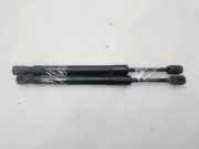 Gasdruckfedern Set Hinten 4F5827552B Audi A6 (C6) Limousine 3.0 TDI V6 24V Quattro (ASB)