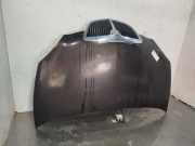 Motorhaube 51872629 Lancia Ypsilon (843) Schrägheck 1.2 (188.A.4000)