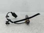 Kraftstoff-Injector 038130202C Seat Cordoba (6C2/6K2) Limousine 1.9 SDi Stella (AQM)