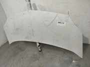 Motorhaube 651003220R Renault KANGOO Furgón Confort 68 CV / 50 KW