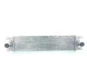 Ladeluftkühler 7701043695 Renault Master II (FD/HD) Van 2.5 dCi 120 FAP (G9U-650)