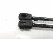 Gasdruckfedern Set Hinten 08510550 Ford Focus 1 Schrägheck 1.8 TDdi (C9DA)