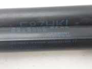 Gasdruckfedern Set Hinten 51247060622 BMW 1 serie (F20) Schrägheck 5-drs 116d 2.0 16V (N47-D20C)