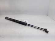 Gasdruckfedern Set Hinten 51248171158 BMW SERIE 3 COMPACTO (E36) 318tds 90 CV / 66 KW