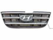 Grill 8636005610 Hyundai Atos Schrägheck 1.1 12V (G4HD)