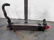 Ladeluftkühler 144960001R Renault Laguna Coupé (DT) Coupé 2.0 dCi 16V 150 (M9R-858)