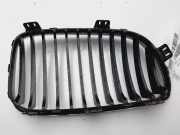 Grill 51137166439 BMW 1 serie (E87/87N) Schrägheck 5-drs 120d 16V (N47-D20A)