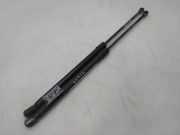 Gasdruckfedern Set Hinten 1J6827550E Volkswagen Golf IV (1J1) Schrägheck 1.6 16V (BCB) BCB