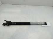 Gasdruckfedern Set Hinten 6895002041 Toyota COROLLA (E12) 1.4 D-4D Terra Berlina 90 CV / 66 KW