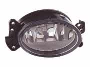 Nebelscheinwerfer Rechts Vorne A1698201656 Mercedes-Benz E (W211) Limousine 3.0 E-300 CDI 24V Bluetec (OM642.920)