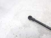 Gasdruckfeder Set Vorne 6J3827550 Seat Ibiza IV SC (6J1) Schrägheck 3-drs 1.9 TDI 105 (BLS)
