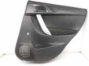 Türverkleidung Rechts Hinten 96866532ZD Citroën C3 (SC) Schrägheck 5-drs 1.6 HDi 92 (DV6DTED(9HP))