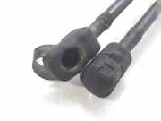 Gasdruckfedern Set Hinten 1U6827550E Skoda Octavia (1U2) Liftback 1.9 TDi GLX,SLX (ALH)