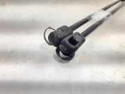 Gasdruckfedern Set Hinten 1729322 Ford Kuga I SUV 2.0 TDCi 16V (G6DG)