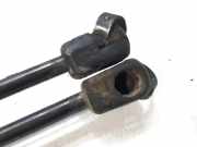 Gasdruckfedern Set Hinten 96540939 Daewoo / Chevrolet Kalos (SF69) Limousine 1.4 (F14S3)