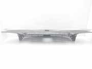 Grill 8200012581 Renault Laguna II (BG) Schrägheck 5-drs 1.9 dCi 100 (F9Q-752)