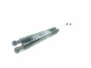 Gasdruckfedern Set Hinten 844300001R Renault Scénic III (JZ) Großraumlimousine 1.9 dCi (F9Q-872(F9Q-P8))