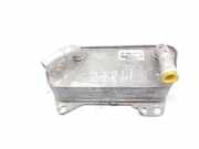 Ölkühler 02E409061D Volkswagen Polo VI (AW1) Schrägheck 5-drs 2.0 GTI Turbo 16V (DKZC) DKZC