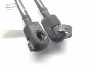 Gasdruckfedern Set Hinten A2049800764 Mercedes-Benz C (W204) Limousine 2.2 C-220 CDI 16V BlueEFFICIENCY (OM651.911)