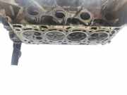 Zylinderkopf 8200519224 Renault Laguna III Estate (KT) Kombi 5-drs 2.0 dCi 16V 130 (M9R-742)
