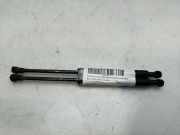 Gasdruckfedern Set Hinten 51237008745 BMW 5 serie (E60) Limousine 530d 24V (M57N-D30(306D2))