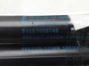Gasdruckfedern Set Hinten 51237008745 BMW 5 serie (E60) Limousine 520d 16V Corporate Lease (M47-D20(204D4))