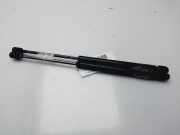 Gasdruckfedern Set Hinten 7700842256 Renault Clio II (BB/CB) Schrägheck 1.2 (D7F-720)