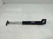 Gasdruckfedern Set Hinten 90450EL00A Nissan Tiida (C11X) Schrägheck 1.6 16V (HR16DE)