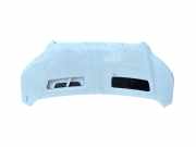 Motorhaube 2446035 Ford Transit Ch.Cab/Pick-up 2.0 TDCi 16V Eco Blue 130 (YMFS)