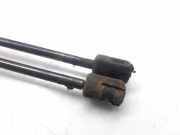 Gasdruckfedern Set Hinten 8731F6 Citroën CITROEN BERLINA 2.0 HDi SX 109 CV / 80 KW