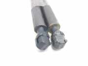 Gasdruckfeder Set Vorne 9627277580 Peugeot (S2) Max 60 CV / 44 KW