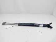 Gasdruckfedern Set Hinten EG2163620D Mazda CX-7 SUV 2.2 MZR-CD 16V (R2)