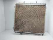 Radiator 25310H1941 Hyundai Terracan SUV 2.9 CRDi 16V (J3)