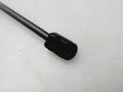 Gasdruckfeder Set Vorne 8V082335904S Audi A3 Limousine (8VS/8VM) Limousine 1.5 35 TFSI 16V (DPCA)