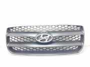 Grill E865612B000 Hyundai Santa Fe II SUV 2.2 CRDi 16V 4x4 (D4EB)