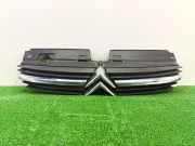 Grill 9636751980 Citroën C3 (SX/SW) Schrägheck 1.2 Vti 12V PureTech (EB2FA(HMR))