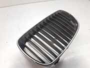 Grill 7128613 BMW 1 serie (E87/87N) Schrägheck 5-drs 120d 16V (M47-D20(204D4))
