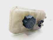 Ausgleichbehälter - - 1323S7 Peugeot 407 (6C/J) Coupé 2.7 HDi V6 24V (DT17TED4(UHZ)) 2005