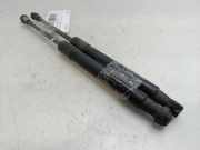 Gasdruckfeder Set Vorne 8X0823359 Audi A1 (8X1/8XK) Schrägheck 3-drs 1.6 TDI 16V (CAYB)