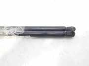 Gasdruckfedern Set Hinten 904529F725 Nissan PRIMERA BERLINA (P11) Comfort 90 CV / 66 KW