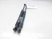 Gasdruckfedern Set Hinten 51238202688 BMW 5 serie (E60) Limousine 525d 24V (256D2)