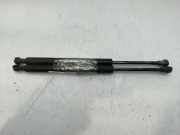 Gasdruckfedern Set Hinten 51248254281 BMW 3 serie (E46/4) Limousine 320d 16_V (M47N(204D4))