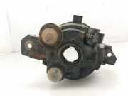 Nebelscheinwerfer Rechts Vorne 029065 Renault Laguna II (BG) Schrägheck 5-drs 1.9 dCi 120 (F9Q-750)