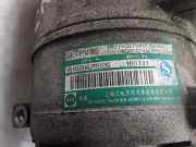 Klima Pumpe 6102062092S Skoda Superb (3U4) Limousine 1.9 TDI 130 PD (AWX)