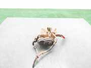 Bremssattel Links Hinten LR036568 Land + Range Rover Range Rover Sport (LW) Geländewagen 3.0 TDV6 (306DT)