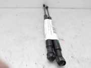 Gasdruckfedern Set Hinten 8200130187 Renault Scénic II (JM) Großraumlimousine 1.9 dCi 120 (F9Q-812)